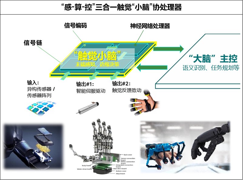 「感-算-控」三合一触觉协处理器架构图
